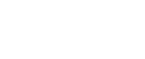 Immunity Systems
